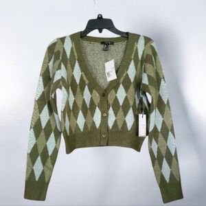 Forever 21 Green and Pale Blue V-Neck  Cropped Argyle Sweater